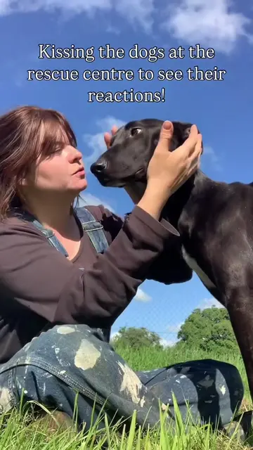 Kissing the dogs at the rescue centre to see their reactions! Ivy has so much lo