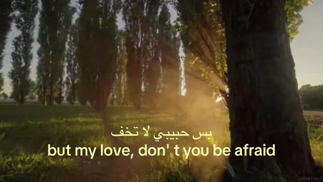 I promise to always love you - اوعدك ببقى احبك #xyzbca #yellowfont #real #viral 