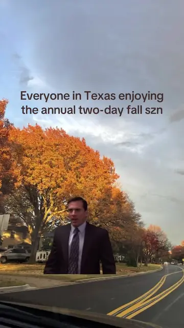 It’s fall ya’ll, atleast for a week 🥲😂 #sweaterweather #texascoldfront #texasw