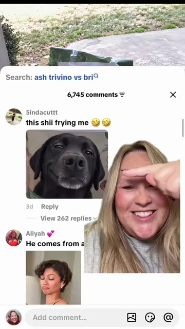 @River The Labrador these comments sent me 🤣 #dog #labrador #funnycomments #dar