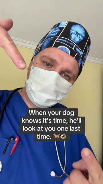 Nhat Your Doa Feels in His Fina Moments??? #PsychologyFacts #DogLovers #Emotiona