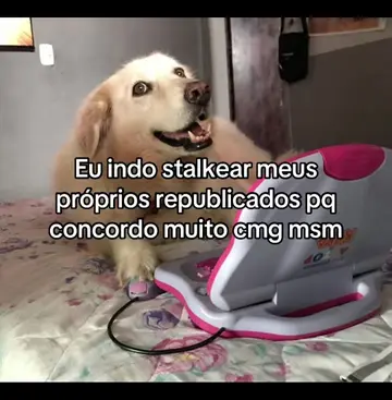 #creatorsearchinsights #republicados #stalker #fypシ #foryou 