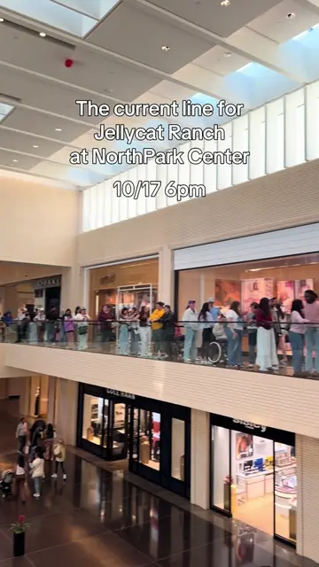 The line for Jellycat Ranch is longer than opening morning! NorthPark mall is cr