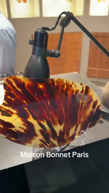 I absolutely do not support the use of new tortoise shell. This is using shell t
