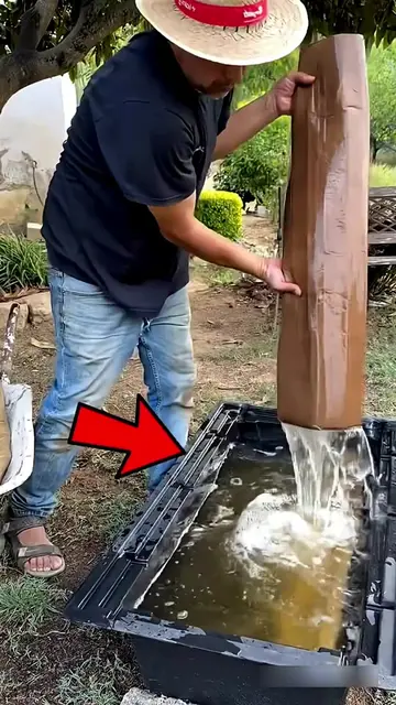 This Gardening Hack Saves Money and Protects Plants #shorts #gardening #hack #en