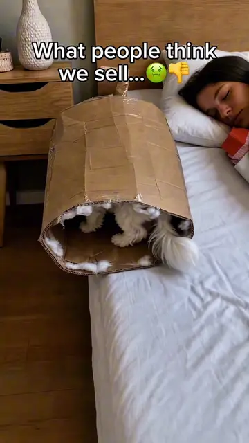 Comment “Pet” if you would buy one 😍🐾 #pet #dog #cat #catbed #dogbed