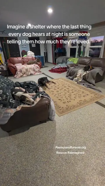 Every night when we tuck our dogs in, I think about how much hope lives inside t