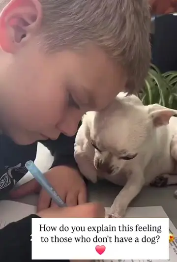 #dogsoftiktok #Love #beautiful #foryoupage #moments 