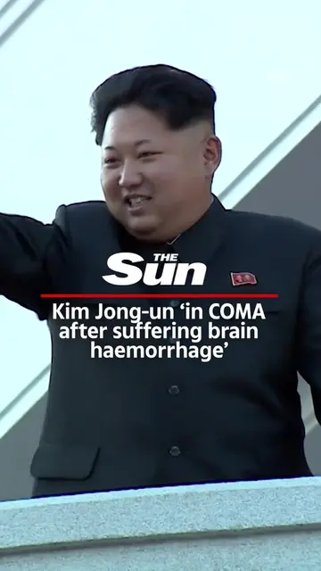 Kim Jong-un is in a coma after suffering a brain haemorrhage, according to wild 