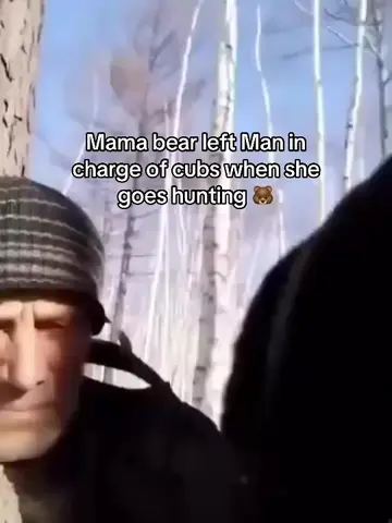 The grizzly bear is one of the most powerful predators in North America. With ma