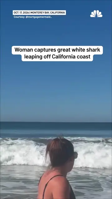 A woman captured the exact moment a great white shark leaped out of the ocean in