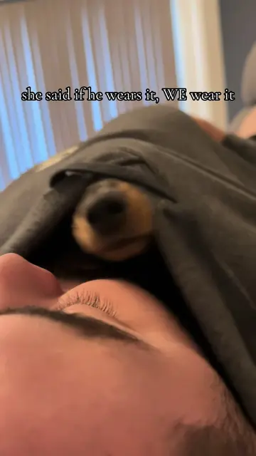 You can’t get anymore dachshund than this🤦🏻‍♀️😂  #dachshund #dachshundsoftikt