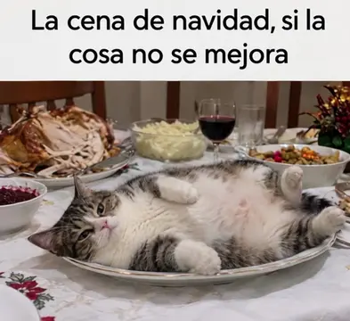 #Humor #comedia 