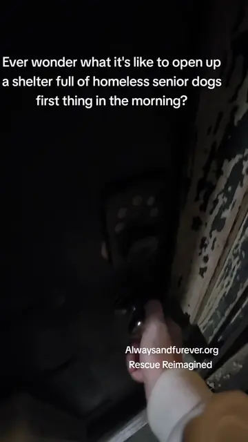 Some are still sound asleep, some are wandering around looking for breakfast, an