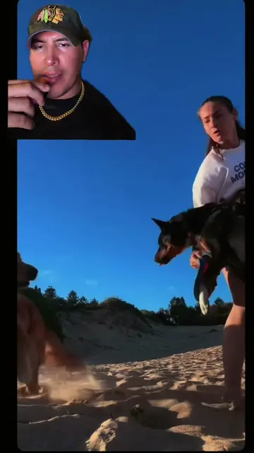 You can never be wrong when your dog is on a leash. The goal is to have your dog