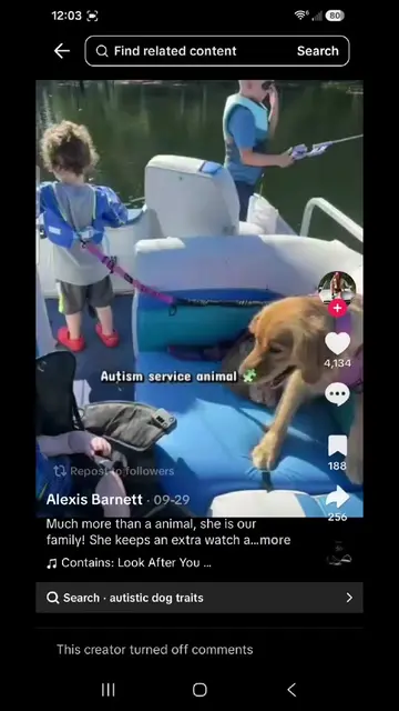 Tethering your autistic child to a dog so they don't wander off is NOT a service