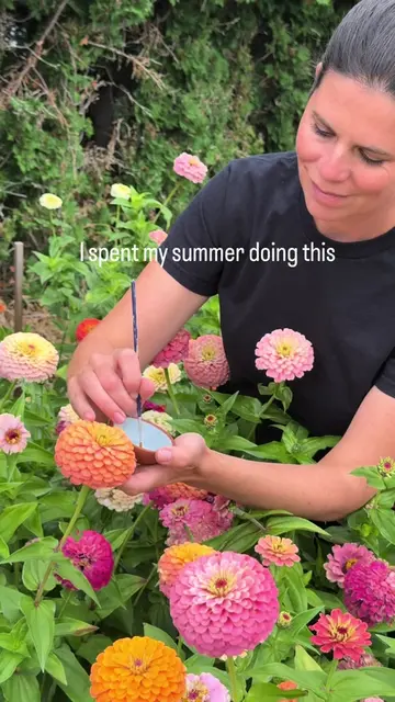 I spend my summers creating new varieties of zinnias so you never have to grow a